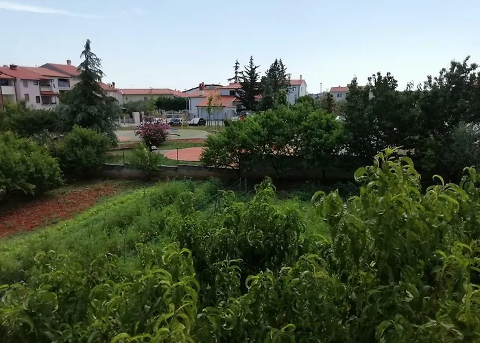 Casablanca *